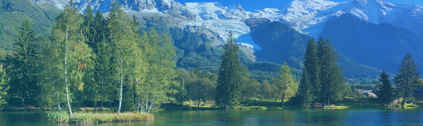 Oral Medicine and TMJ Specialty Clinic